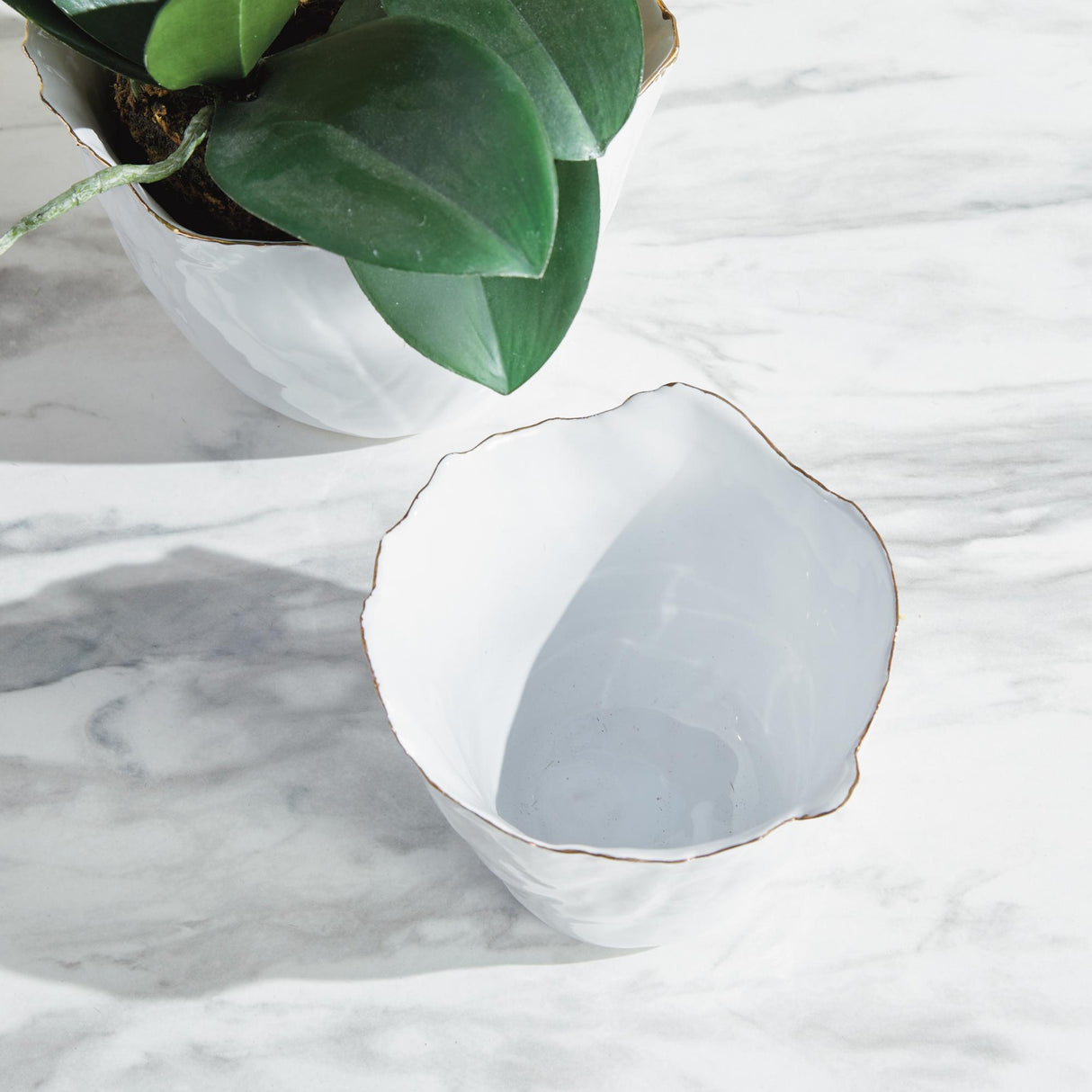 Napa White MARIBELLA CACHEPOTS, SET OF 2