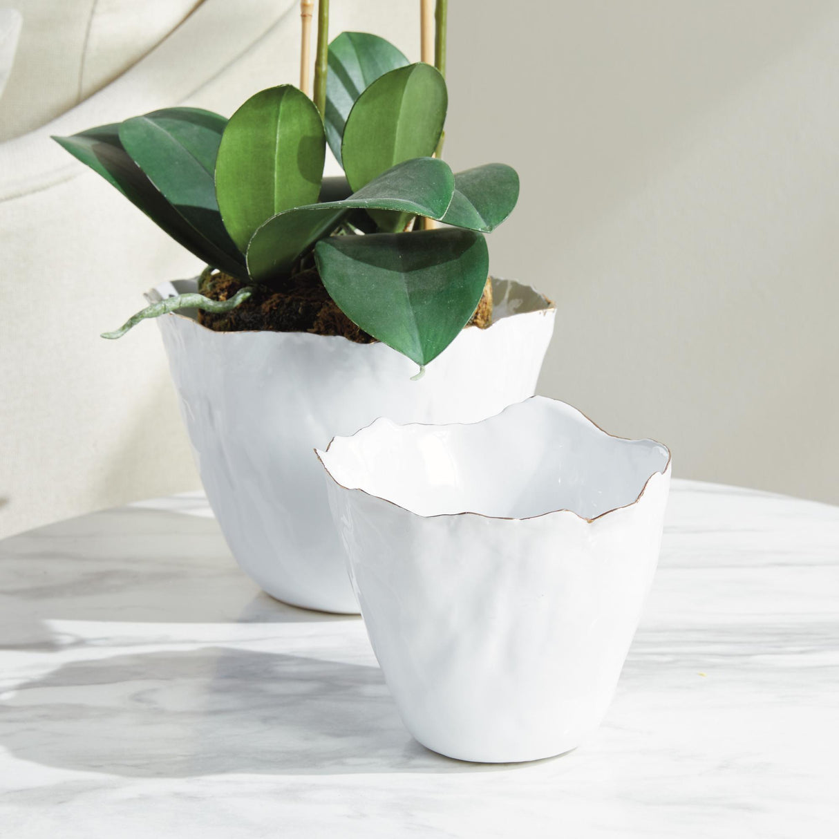 Napa White MARIBELLA CACHEPOTS, SET OF 2