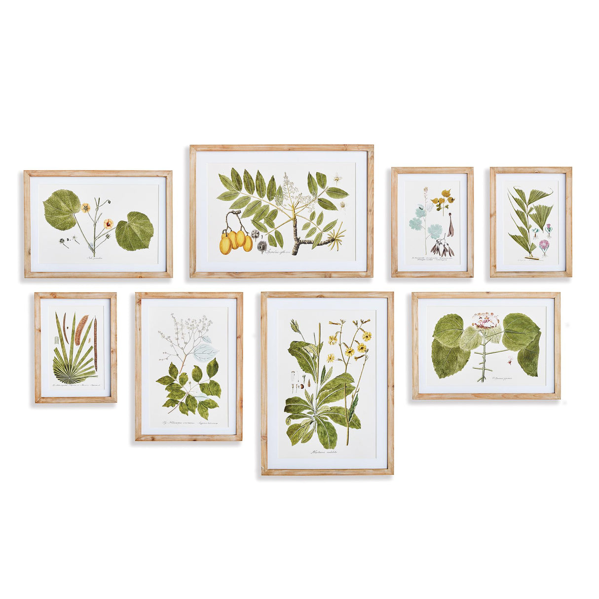 Napa Includes mat FLORA AND FAUNA GALLERY PRINTS, SET OF 8