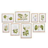 Napa Includes mat FLORA AND FAUNA GALLERY PRINTS, SET OF 8