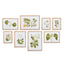 Napa Includes mat FLORA AND FAUNA GALLERY PRINTS, SET OF 8