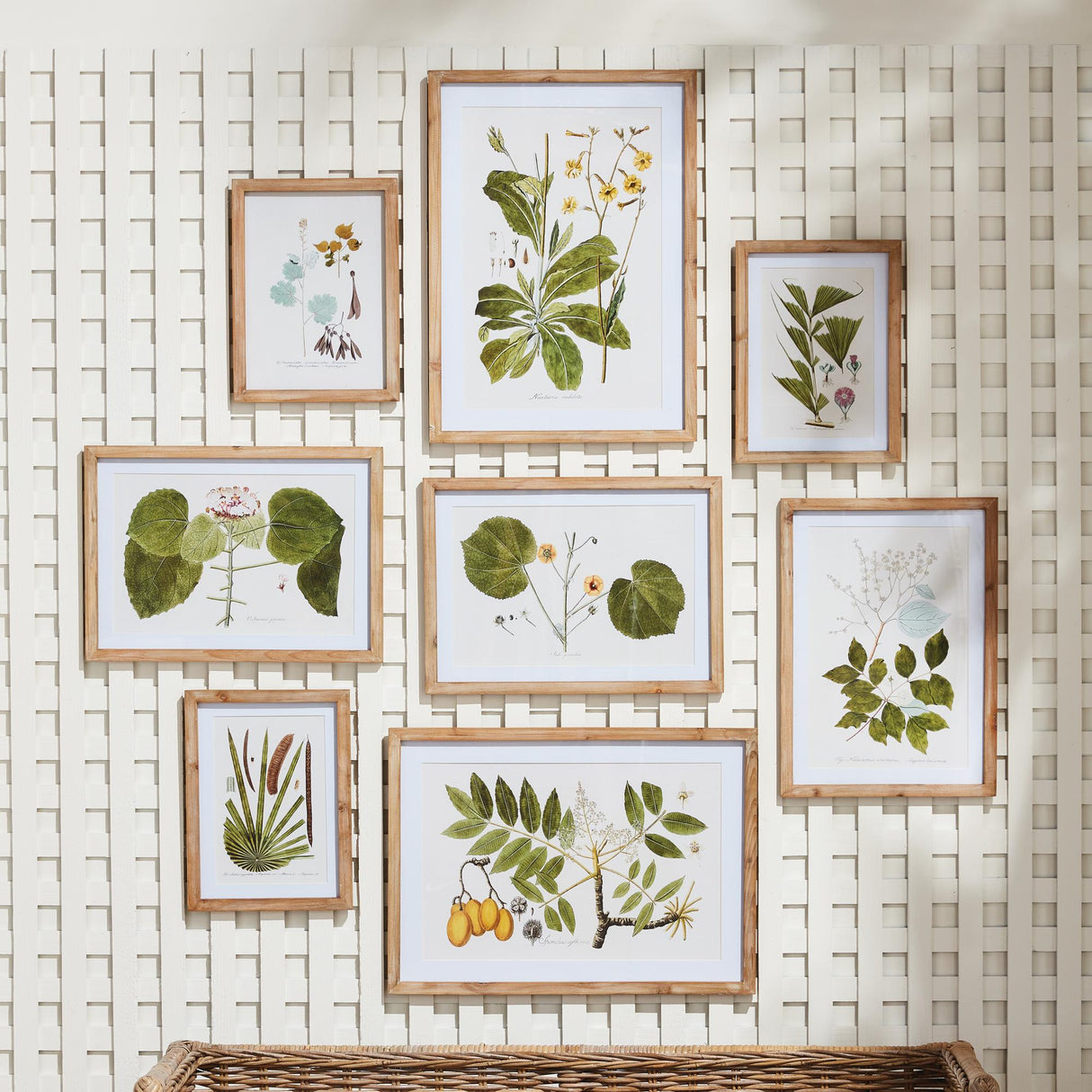 Napa Includes mat FLORA AND FAUNA GALLERY PRINTS, SET OF 8
