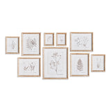 Napa Rattan wrapped frame BOTANICAL STUDY IN SEPIA, SET OF 9