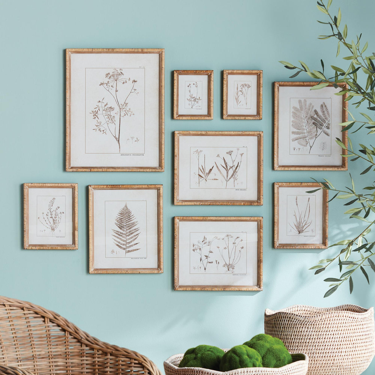 Napa Rattan wrapped frame BOTANICAL STUDY IN SEPIA, SET OF 9