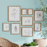 Napa Rattan wrapped frame BOTANICAL STUDY IN SEPIA, SET OF 9