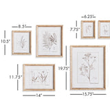 Napa Sepia Botanical Study In Sepia, Set Of 9