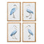 Napa Includes mat ELEGANT BLUE HERON PRINTS, SET OF 4
