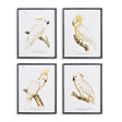Napa  PARROT STUDY IN WHITE, SET OF 4