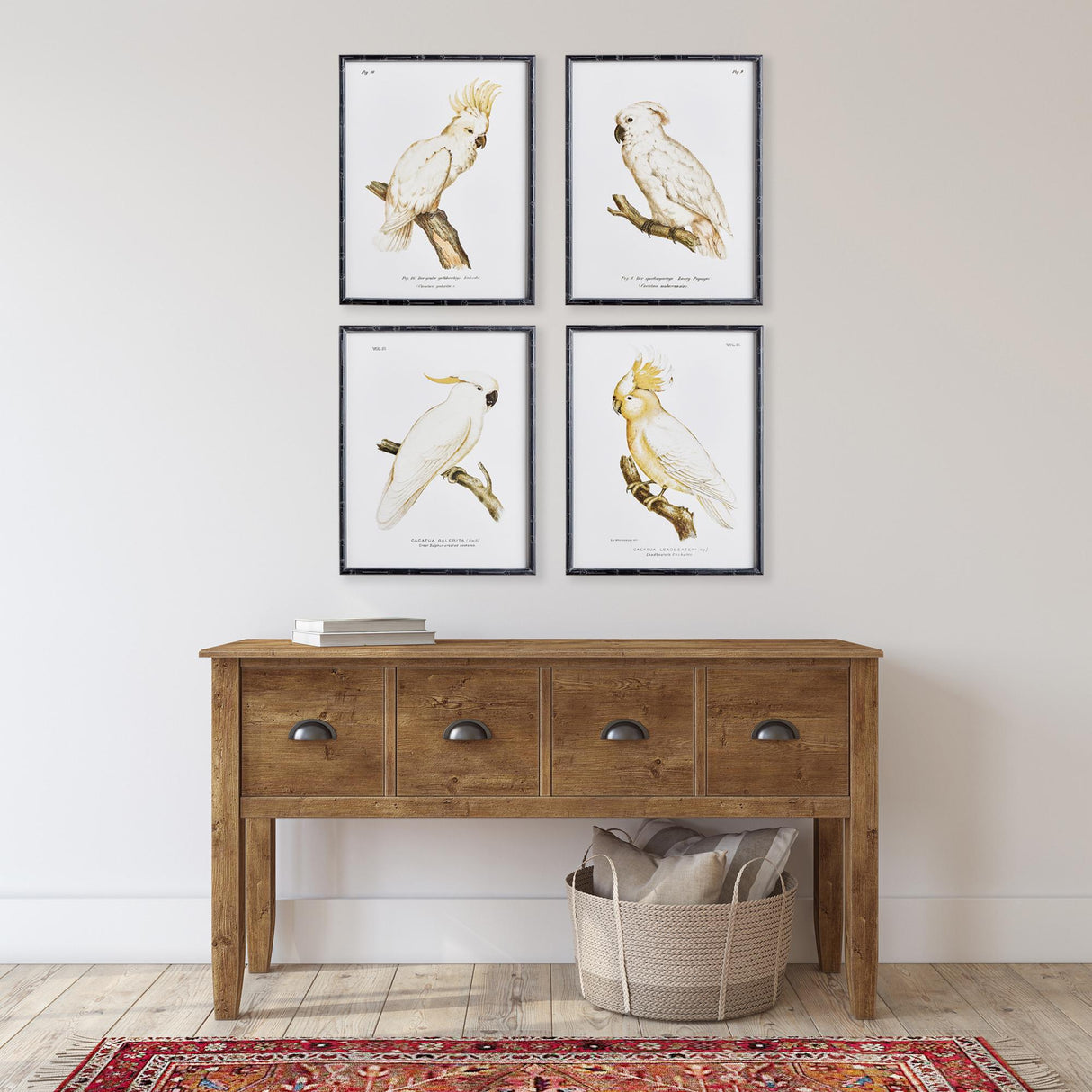Napa  PARROT STUDY IN WHITE, SET OF 4