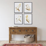Napa  PARROT STUDY IN WHITE, SET OF 4