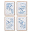 Napa Includes mat MONOCHROMATIC BIRD STUDY, SET OF 4
