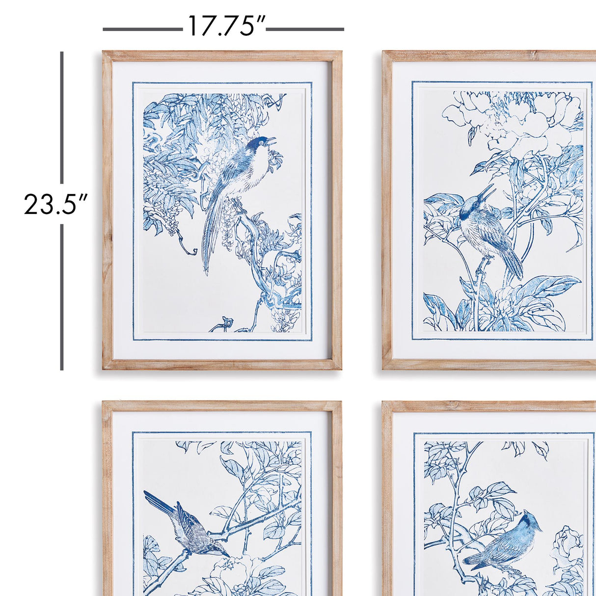 Napa Natural/Blue Monochromatic Bird Study, Set Of 4