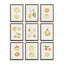 Napa  ASSORTED FRUITS STUDY, SET OF 9