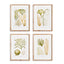 Napa Includes mat VERDANT CORAL STUDY, SET OF 4