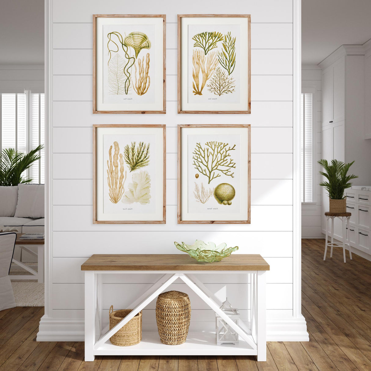 Napa Includes mat VERDANT CORAL STUDY, SET OF 4
