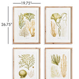 Napa Natural/Green Verdant Coral Study, Set Of 4