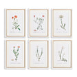 Napa Includes mat FLOWER STUDIES IN SHADES OF BLUSH, SET OF 6