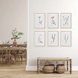 Napa Includes mat FLOWER STUDIES IN SHADES OF BLUSH, SET OF 6