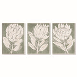 Napa  PROTEA TRIPTYCH HAND-EMBELLISHED GICLEES, SET OF 3