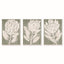 Napa  PROTEA TRIPTYCH HAND-EMBELLISHED GICLEES, SET OF 3