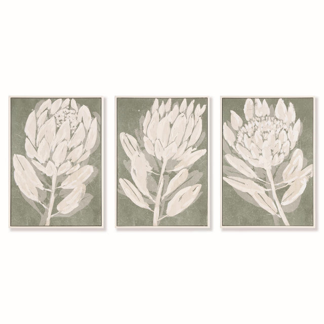 Napa  PROTEA TRIPTYCH HAND-EMBELLISHED GICLEES, SET OF 3