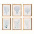 Napa Rattan wrapped frame SEA FAN AND CORAL STUDY IN BLUE, SET OF 6