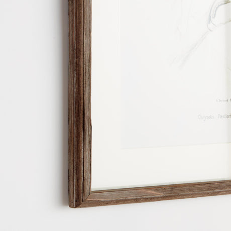 Napa Includes mat PARROT ILLUSTRATIONS IN GREEN, SET OF 4