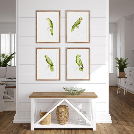 Napa Includes mat PARROT ILLUSTRATIONS IN GREEN, SET OF 4