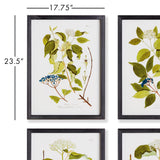 Napa  FLORAL AND BERRY STUDY, SET OF 4
