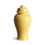 Napa Yellow KOA LIDDED MINI GINGER JAR LARGE