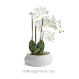 Napa White MIRELA DECORATIVE BOWL