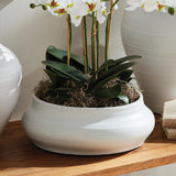 Napa White MIRELA DECORATIVE BOWL