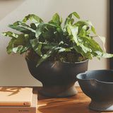 Napa Black KALOA DECORATIVE BOWL LARGE