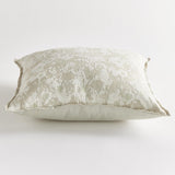 Napa Celadon/Ecru, Back: Celadon SOFIA SQUARE INDOOR-OUTDOOR PILLOW 24"