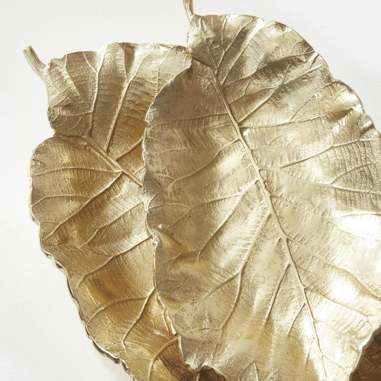 Napa Gold ALEGRA GRAND LEAF TRAY