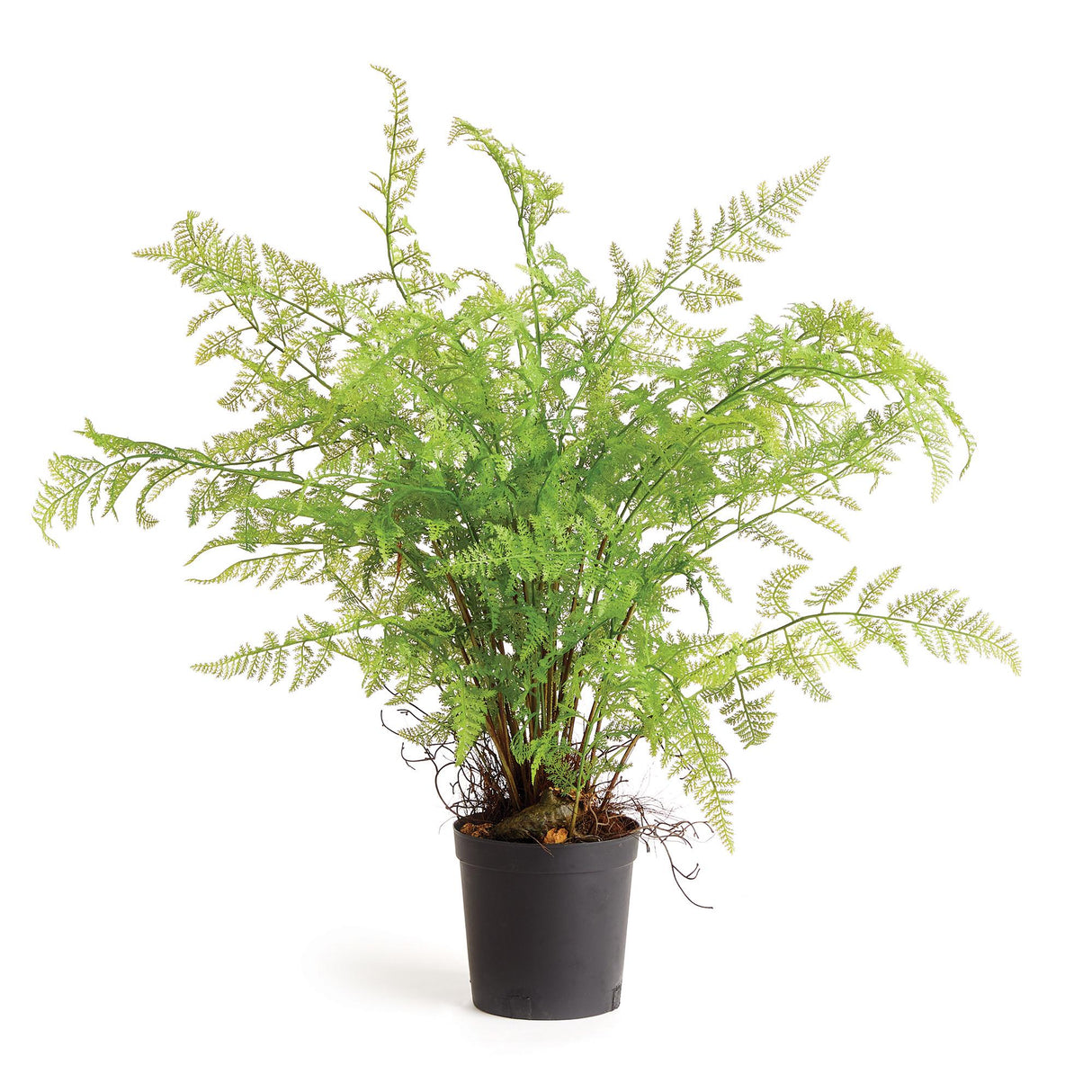 Napa Green SOFT FERN DROP-IN 36"