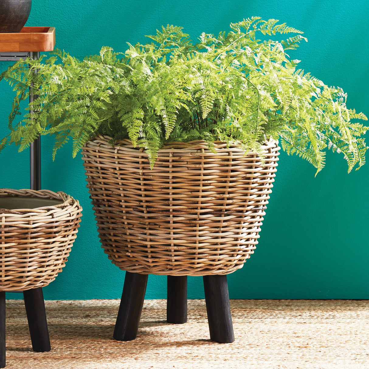 Napa Green SOFT FERN DROP-IN 36"