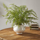 Napa Green SOFT FERN DROP-IN 36"