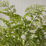 Napa Green SOFT FERN DROP-IN 36"