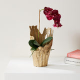 Napa Gold ARBRE VASE SMALL