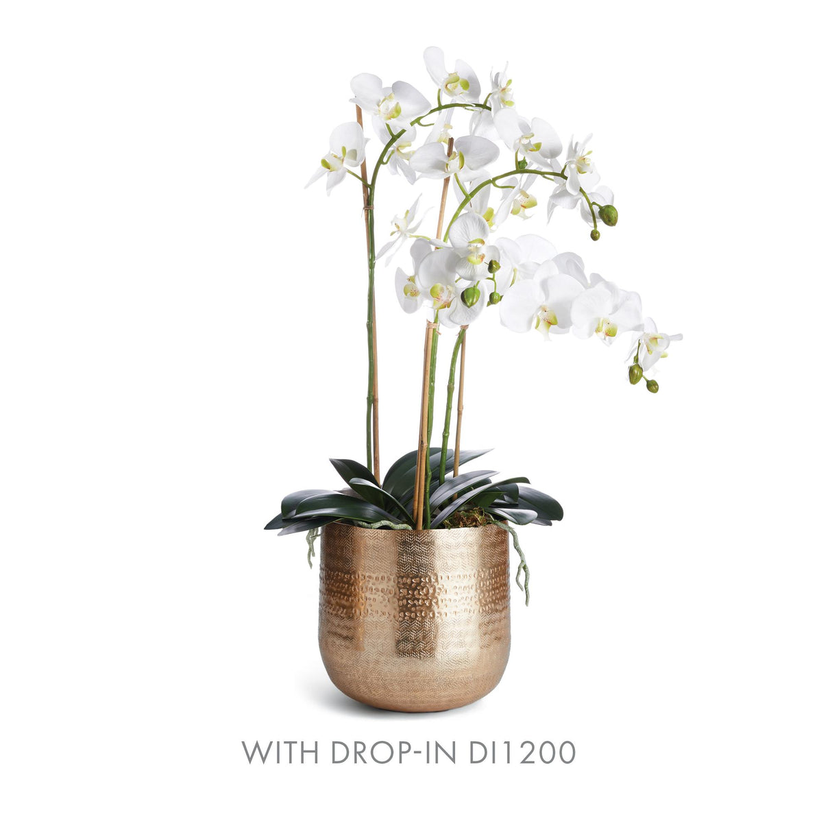 Napa Gold EMBERLYNN CACHEPOT LARGE