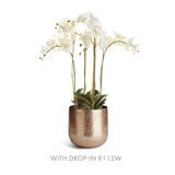 Napa Gold EMBERLYNN CACHEPOT LARGE