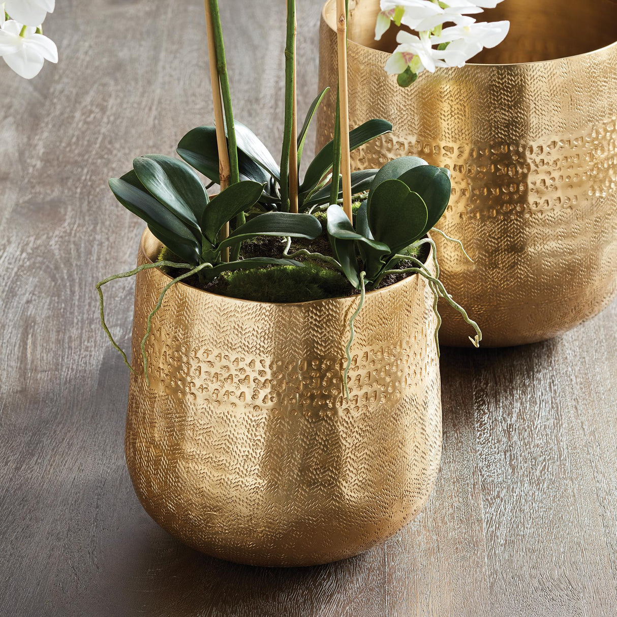 Napa Gold EMBERLYNN CACHEPOT SMALL