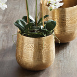 Napa Gold EMBERLYNN CACHEPOT SMALL
