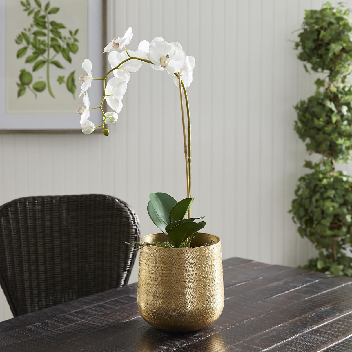Napa Gold EMBERLYNN CACHEPOT SMALL