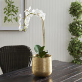 Napa Gold EMBERLYNN CACHEPOT SMALL
