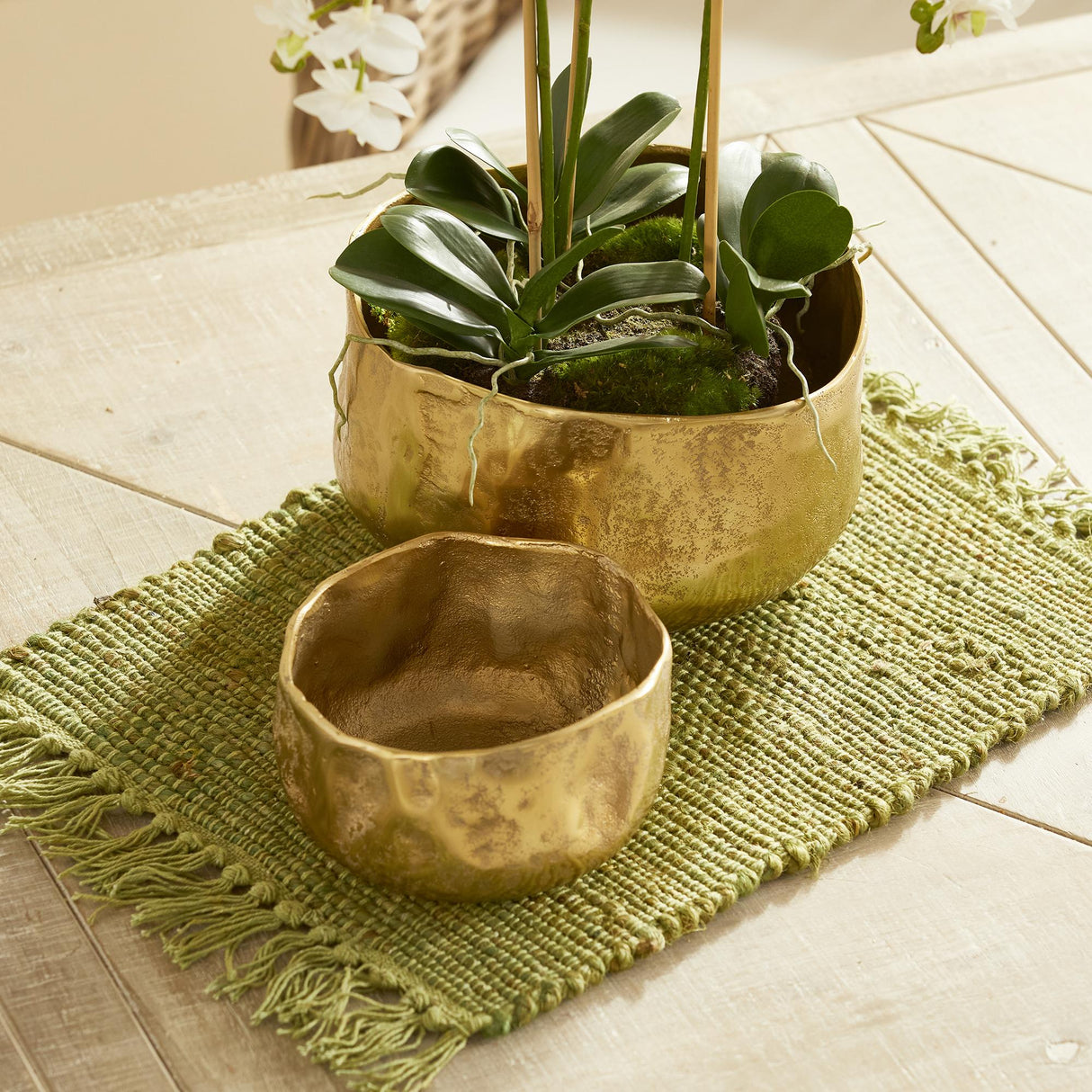 Napa Gold AMELIA CACHEPOTS, SET OF 2