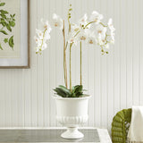 Napa Classic White MIRABELLE DECORATIVE PEDESTAL BOWL SMALL