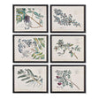 Napa Includes frames BERRY BRANCH BOTANICAL STUDY, SET OF 6