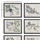 Napa Includes frames BERRY BRANCH BOTANICAL STUDY, SET OF 6